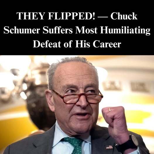 Lefty Host Admits Dems Losing Messaging Battle On Schumer Shutdown